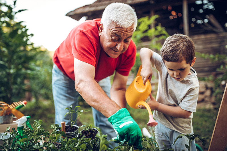 Older man and grandson water plants in a garden